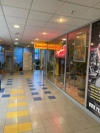 Solarium CALIFORNIA Park 111